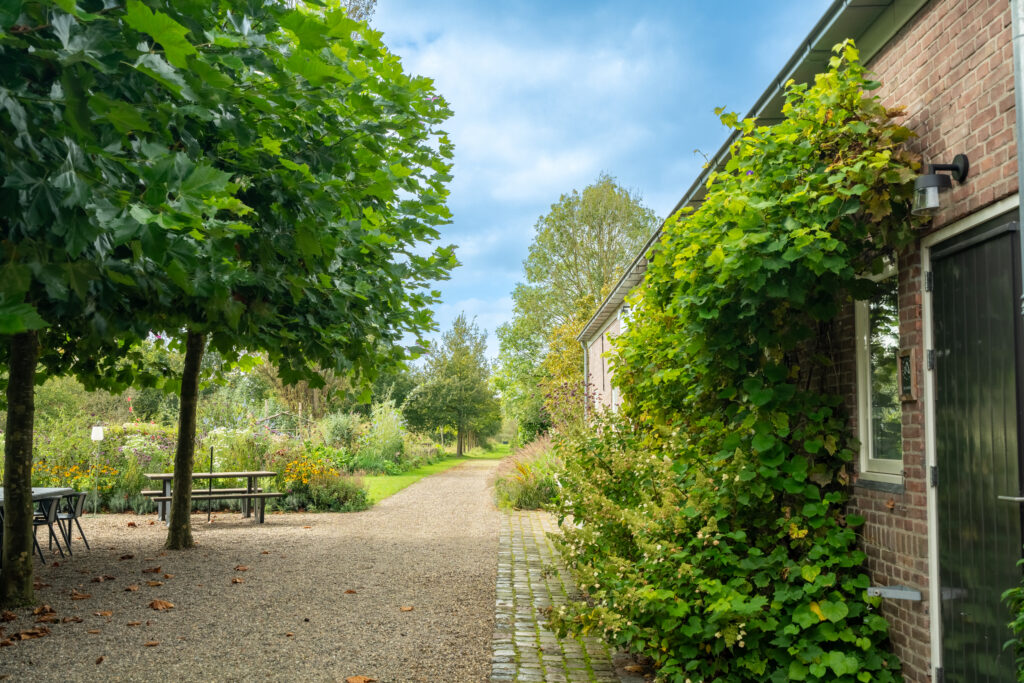 DSC03309-HDR